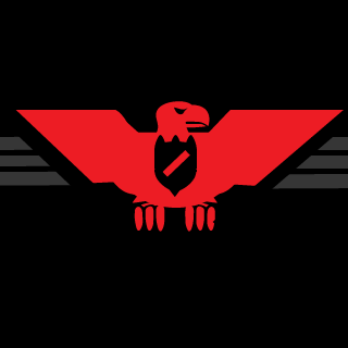6chickennugs's emblem
