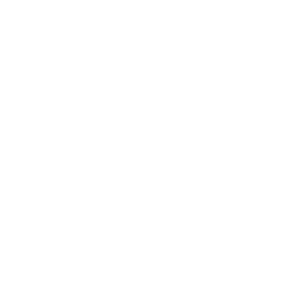 TheOfficialWASD's emblem
