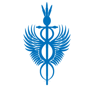cam3n2123's emblem