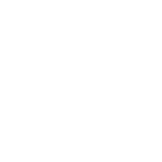 HorionGP's emblem
