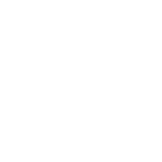 AmericanEagle502's emblem