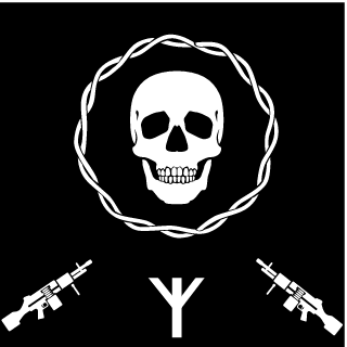 nsvraider899's emblem