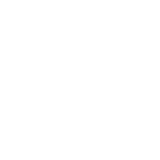 CrzyRacoon's emblem