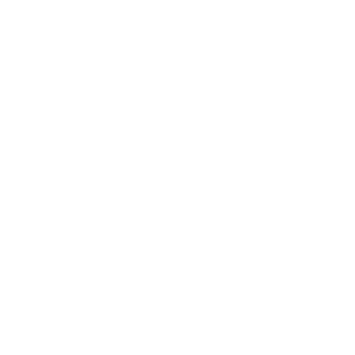 781fda91315eec5e's emblem