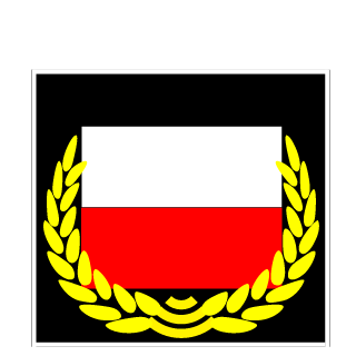 TAG_Br4tech's emblem