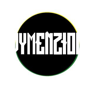 Dymenzion eSports's emblem