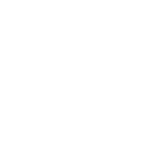 SIN-Ekaterinburg's emblem