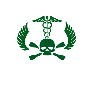 ASIO-OWL's emblem