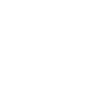 LandeiraXD's emblem