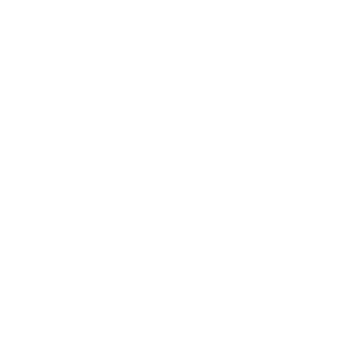 100LKY's emblem