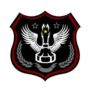 SrFlipper's emblem