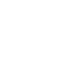 dmsmvs's emblem