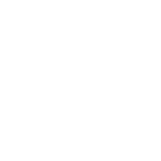 alicengiz009's emblem