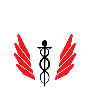 SHDAmbrose's emblem