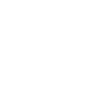 -SHARK-AIR520's emblem