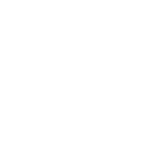 ApoIIo XI's emblem