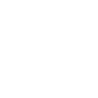Ps_No1999's emblem