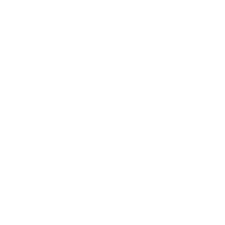 MechaZedong1943's emblem