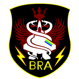Amigos brasileiros's emblem