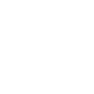 Gean529's emblem