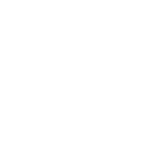 sdStrauss's emblem
