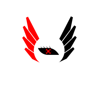 AmazonTruckDrivr's emblem