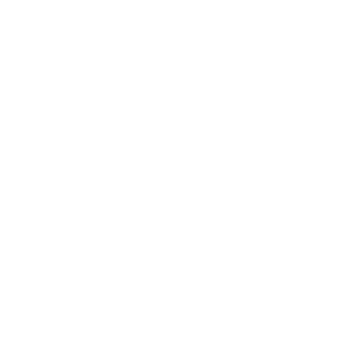 Sir SunBear's emblem