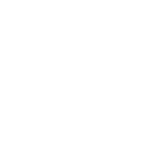 meatballwarrior's emblem