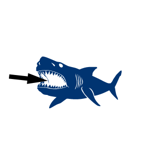 r3dzikH's emblem