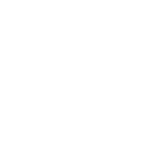 Shooter_v99's emblem