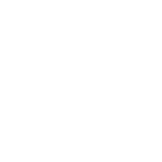 Corvus_312's emblem