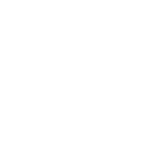 YalnizSavasci's emblem