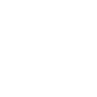 theradrussian14's emblem
