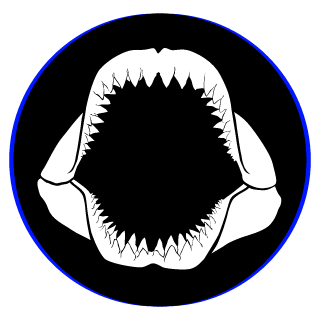 K13 Hitman's emblem