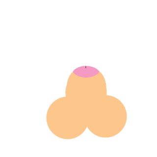 sqvochan's emblem