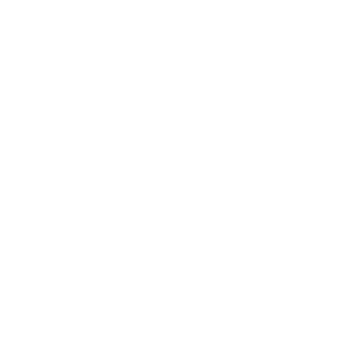 SalleJr's emblem