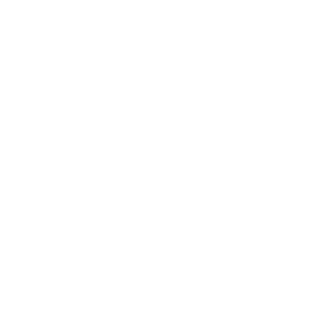 TSNCCHBD's emblem