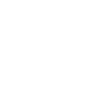 BrianneVooDoo's emblem