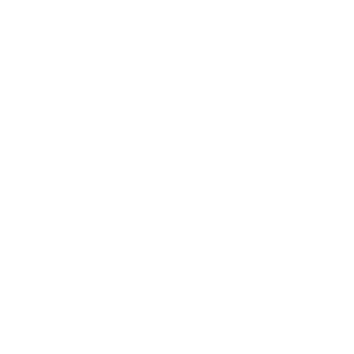 MIKE42074207's emblem