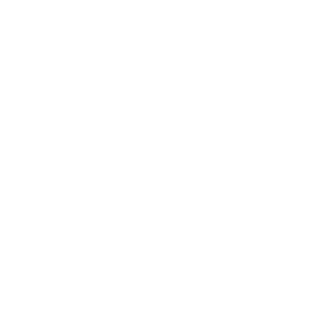 SilentDeath94's emblem