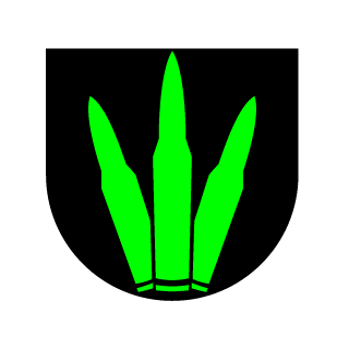 Bublik312's emblem