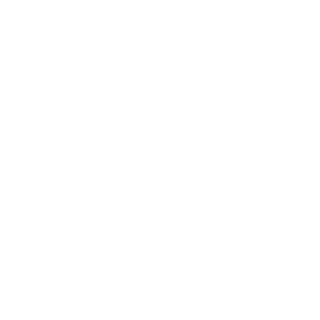 FixinCZ's emblem