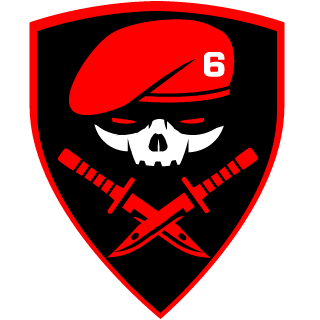Seal Team Six's emblem