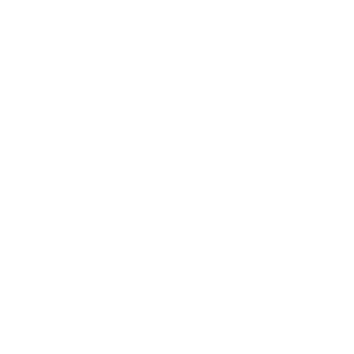 schundy-Ws's emblem