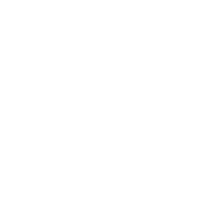19KiZaru19's emblem