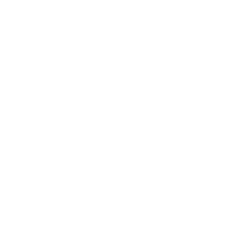1SYDC1's emblem