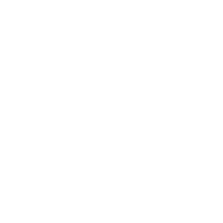 10010001's emblem