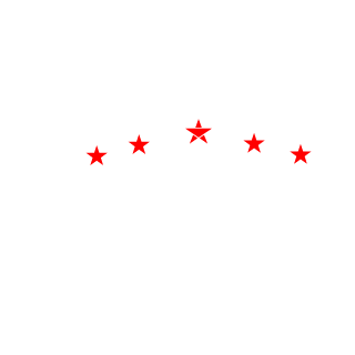 NAA-Ghost's emblem