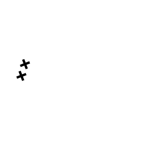 casey5401's emblem