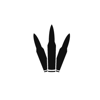 CoppaJO's emblem